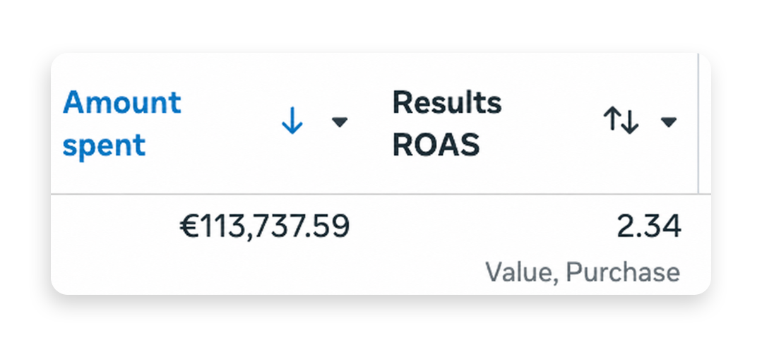 Meta Ads result showing €113,737.59 in spend at 2.34 ROAS